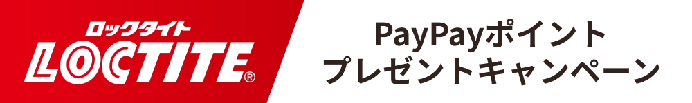 bN^Cg@PayPay|Cgv[gLy[